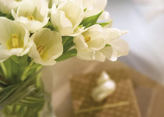 Anessis Thessaloniki