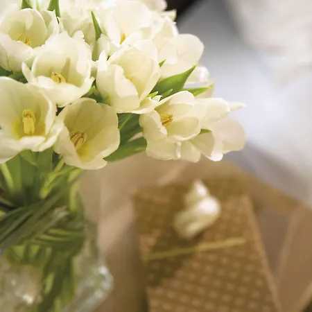 Anessis Θεσσαλονίκη